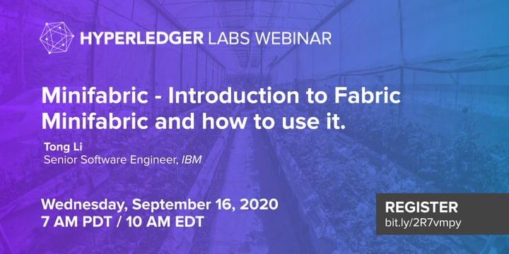 Hyperledger Labs Webinar: Minifabric – Introduction to Fabric Minifabric and how to use it