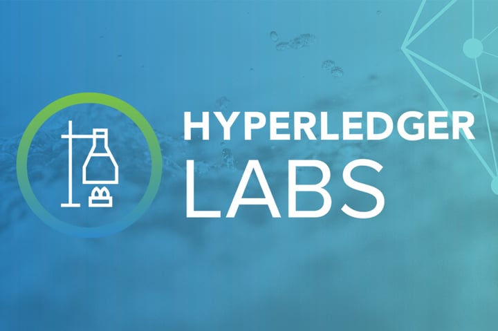 Hyperledger Lab Perun: Achievements of 2021 and Outlook for 2022