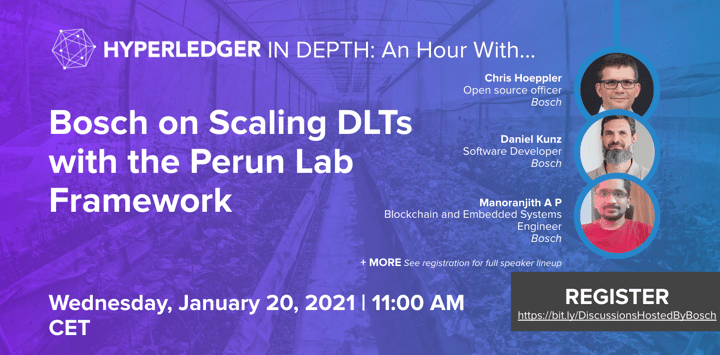 Hyperledger In-depth: An hour with Bosch on Scaling DLTs with the Perun Lab Framework