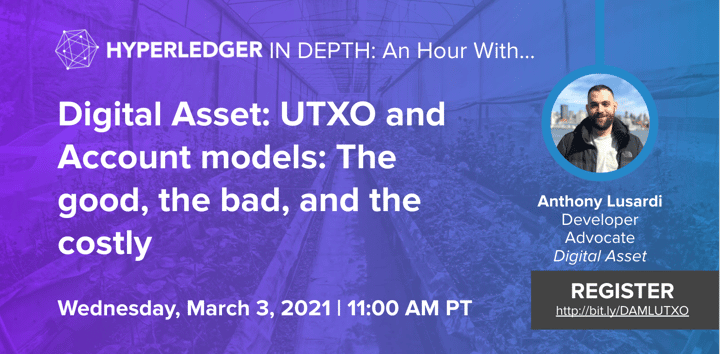 Hyperledger In-depth: An hour with Digital Asset UTXO and Account models. The good, the bad and the costly
