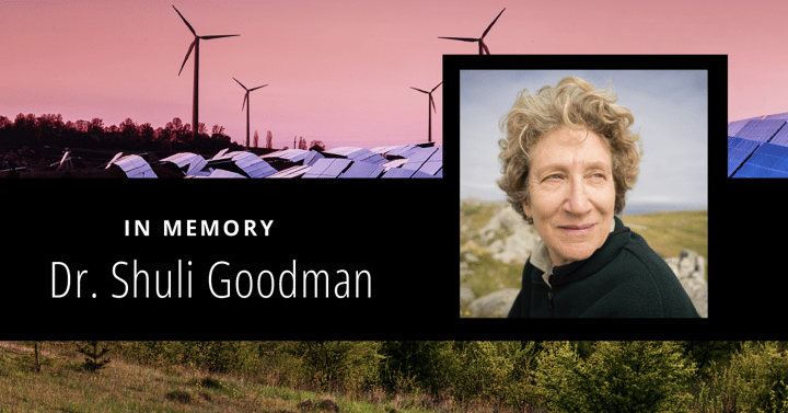 In Memory of Dr. Shuli Goodman